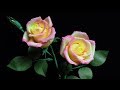ABC TV | How To Make Rose Paper Flower From Crepe Paper - Craft Tutorial