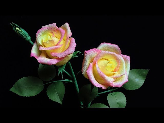 Flores de papel (rosas)  Paper flowers (roses) - Vídeo Dailymotion