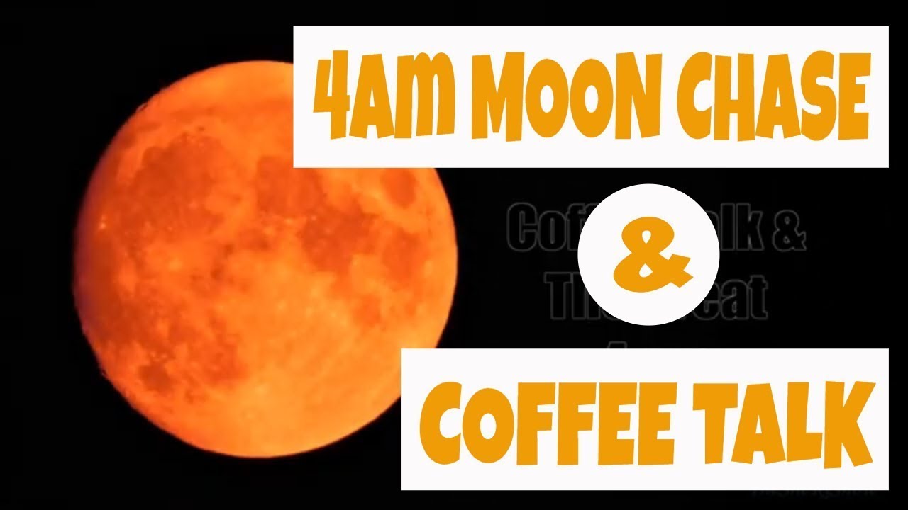 4am Moon Photo Quest, Coffee Talk, Bay Center Birding Dream Weekend