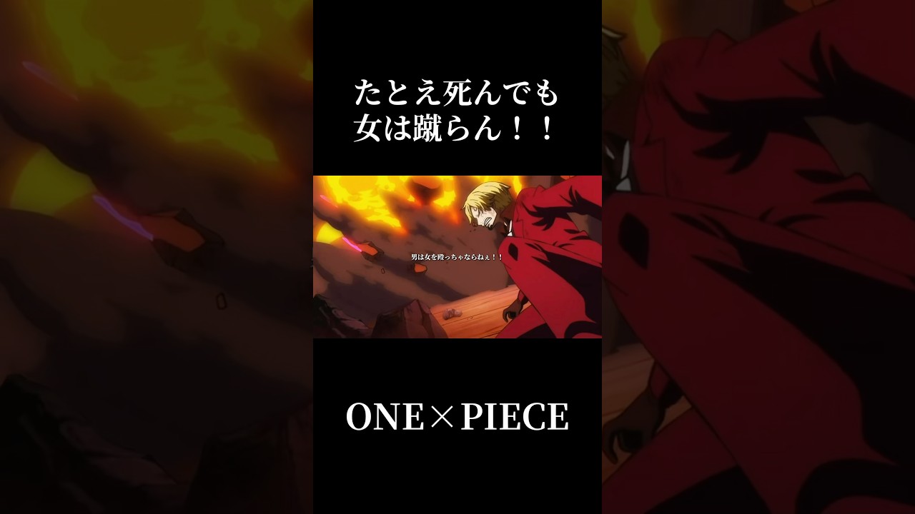 "たとえ死んでも女は蹴らん!!"#ワンピース #onepiece #ルフィ #サンジ