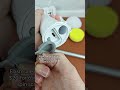 Affordable spin scrubber for cleaning hacks! #fok #homehacks