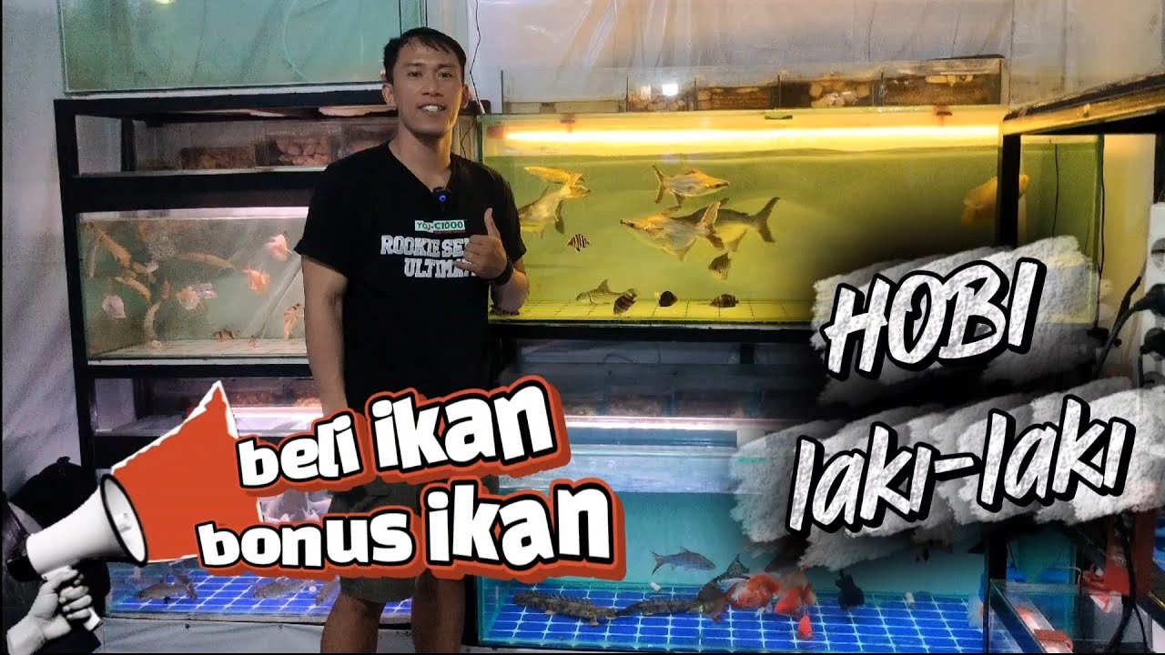 Cek harga ikan di kios jatinegara 