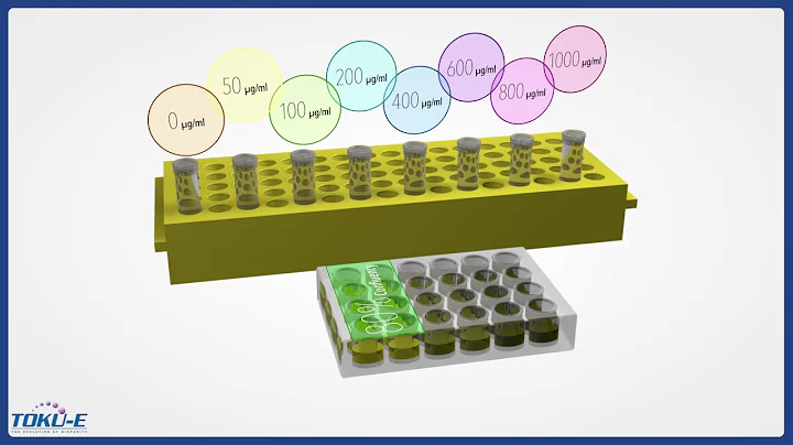 Stage 1 of 3: Generation of Stable, Transfected Cell Lines: Kill Curve