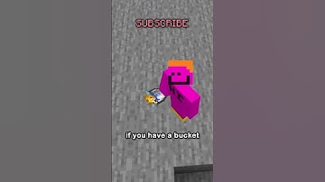 how to save your precious name tags