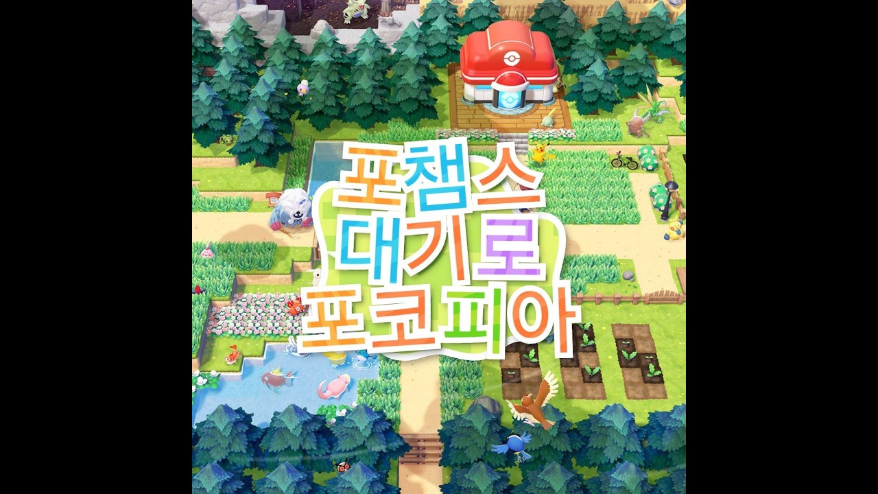 못 참고 0시 포코피아 하기