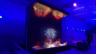 A World of Immersive Volumetric Art at Jax Festival with Dragon O