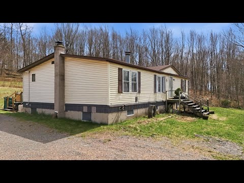 6 Double D Dr, Equinunk, PA home video tour