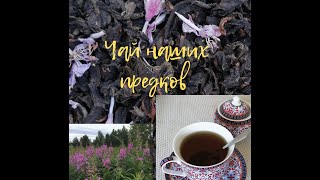 Иван-Чай. Чай наших предков.