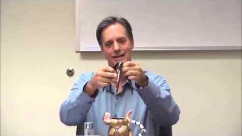 Intellectual Property Licensing: Three Ways to Make Money on your Invention