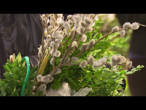 ტაძრებში ბზა არ გაიყიდება