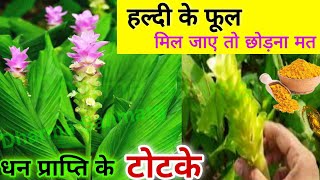 Shiv Mahapuran: Whoever has 