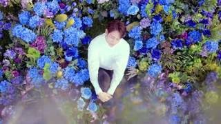 Video thumbnail of "BEAST(비스트) - 'Butterfly' MV"