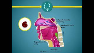 Back to basic with Swallowing screenshot 2