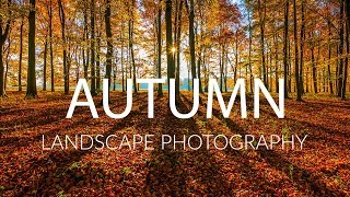 AUTUMN LANDSCAPE PHOTOGRAPHY Tips and Techniques screenshot 5