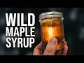 130 Liters of Sap → This Much Maple Syrup
