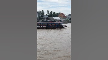 Chợ Nổi Cái Răng #noivucnoitroi #xuhuongyoutube #thinhhanh #nature #travel #thiennhien #dulich