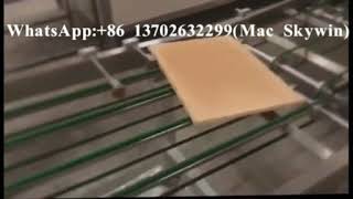 Skywin Factory Best Quality Wafer Production Line