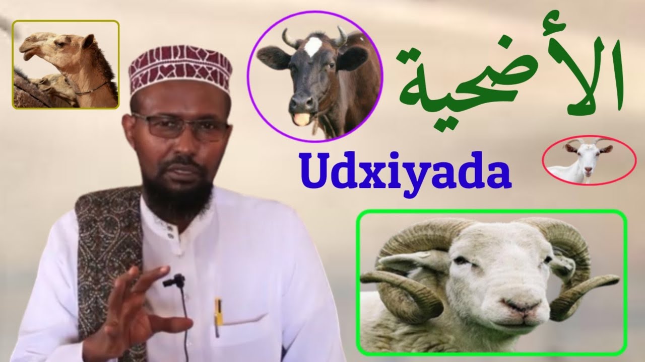 Maalinta Ciida Camal Ilaaheey Jecel Yahay | Udxiyada | Dr Sh Abuukar Xasan Maalin | Daawasho Wacan👀