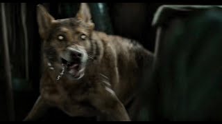 Deadite Dog Shed Fight Scene | 𝙀𝙫𝙞𝙡 𝘿𝙚𝙖𝙙 𝔹𝕌ℝℕ (edited by me)