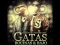 Farruko ft Daddy Yankee - Gatas Bocinas Y Bajo Nueva cancion Reggaeton 2011 con Letra
