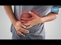 A dieta no tratamento da esteatose hepática