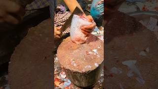 Amazing Rohu Fish Cutting in Bangladesh Fish Market | Expert Butcher Skill #shorts #fishcutting