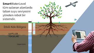 Smartmoles Teknoloji Dunyası