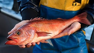 Data-Driven Conservation