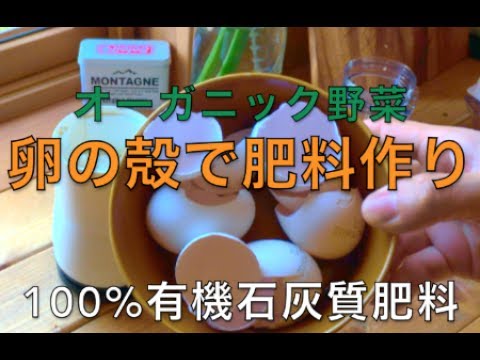 オーガニック 卵の殻で有機肥料を自作する Youtube