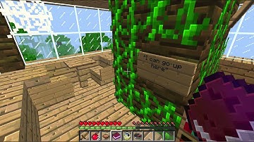 Treehouse Diaries The Last Resort part 2