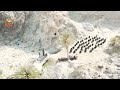 سه رشته عملیات سازمان جیش العدل در سیستان و بلوچستان ۱۱ مهر ۱۴۰۳