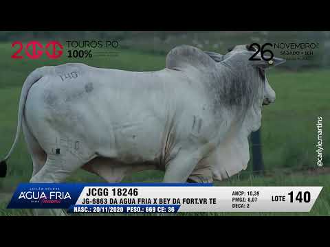 LOTE 140   JCGG 18246