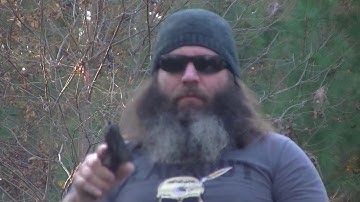 Cover Image for Dan Wesson Bruin 10mm