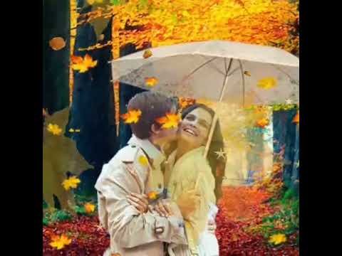 Листья желтые Самоцветы 