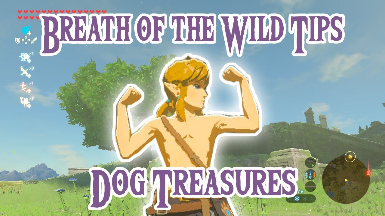 BOTW Tip 7 Dog Treasures YouTube