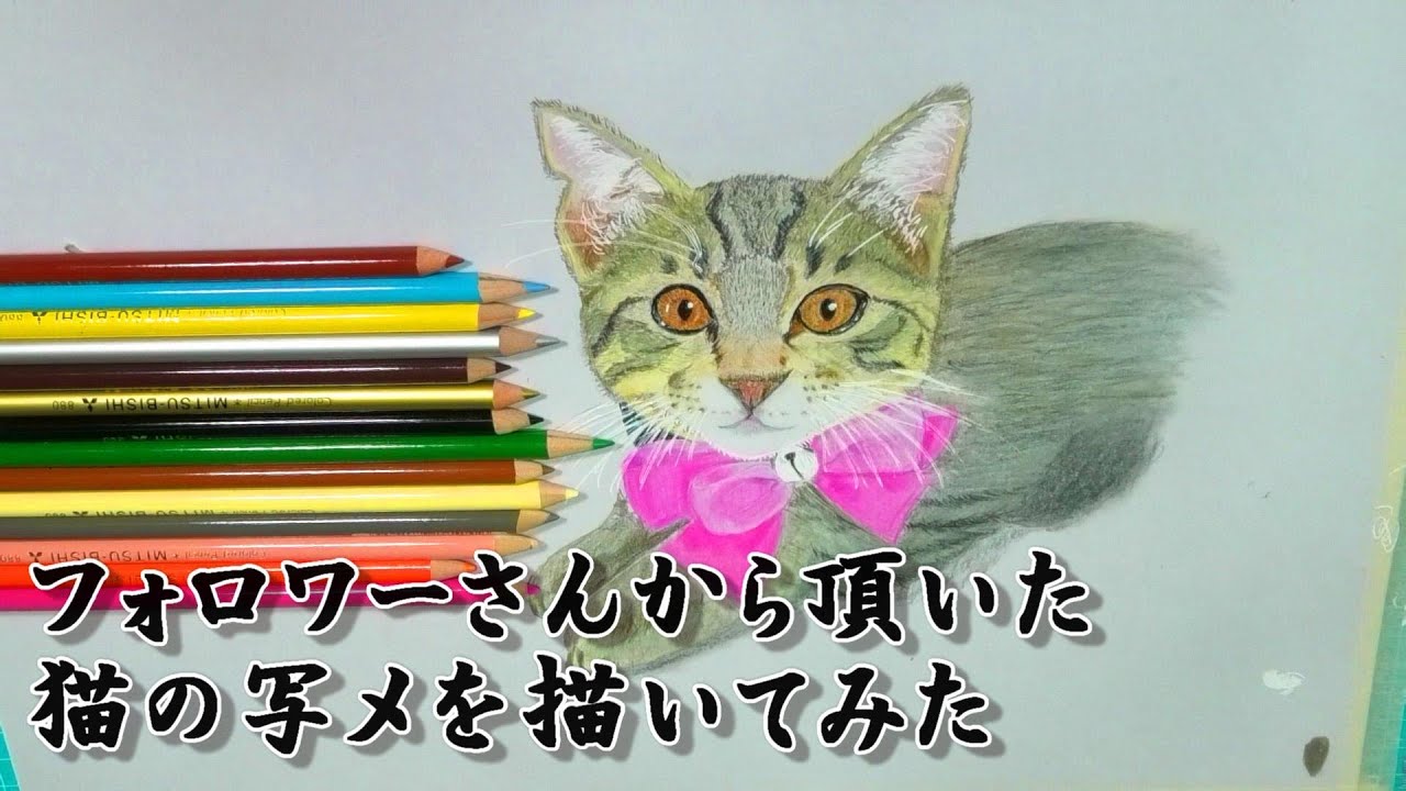 フォロワーさんから頂いた猫の写メを描いてみた 15色鉛筆で猫 猫ちゃんシリーズ 絵 アート 猫 9 猫の絵 猫 Acrylicpainting Youtube