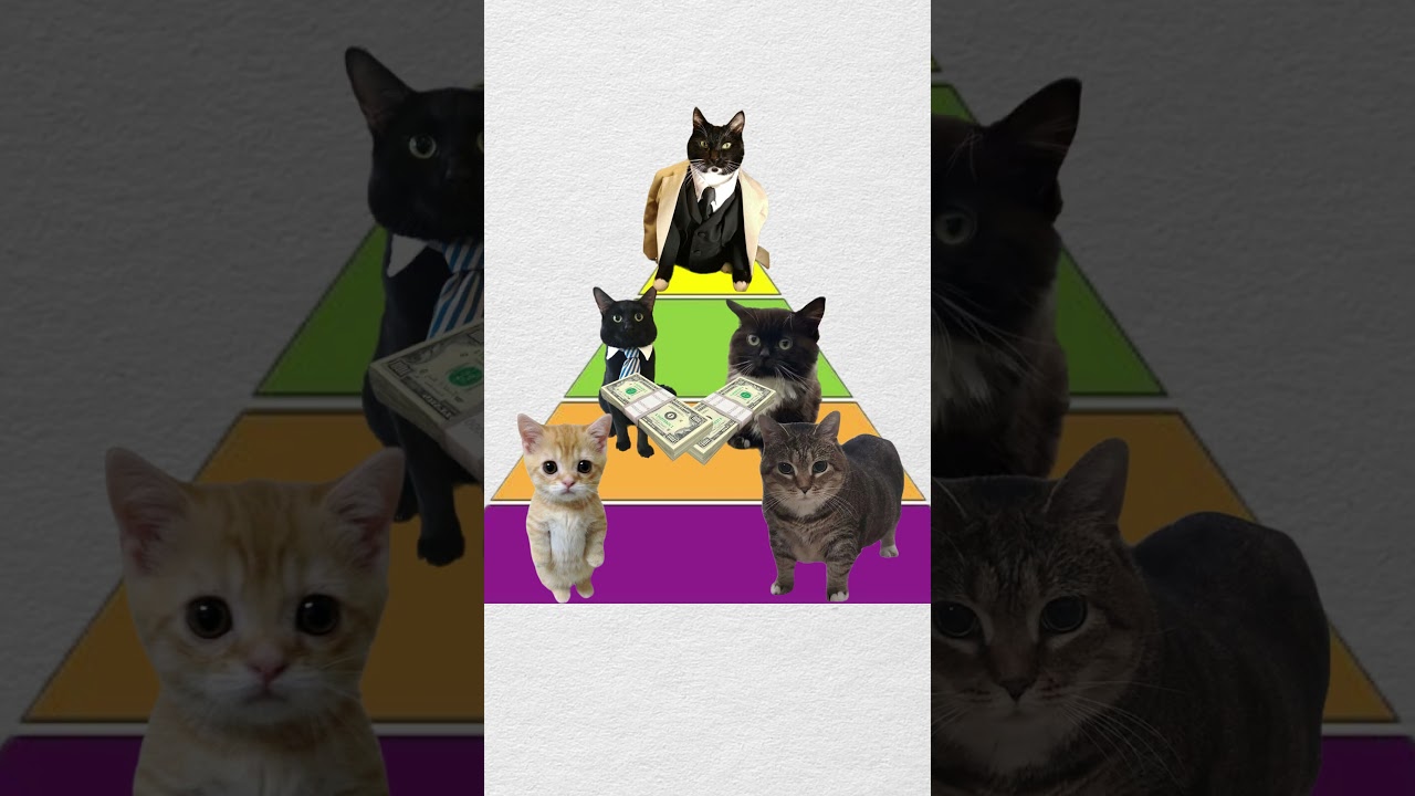 How a financial pyramid Works explained with an alien 