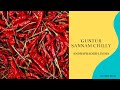 Guntur sannam chilly  gitrips  indias largest exporting quality chili from andrapradesh