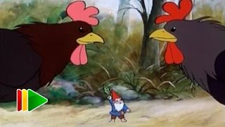 David the Gnome - Cockfighting