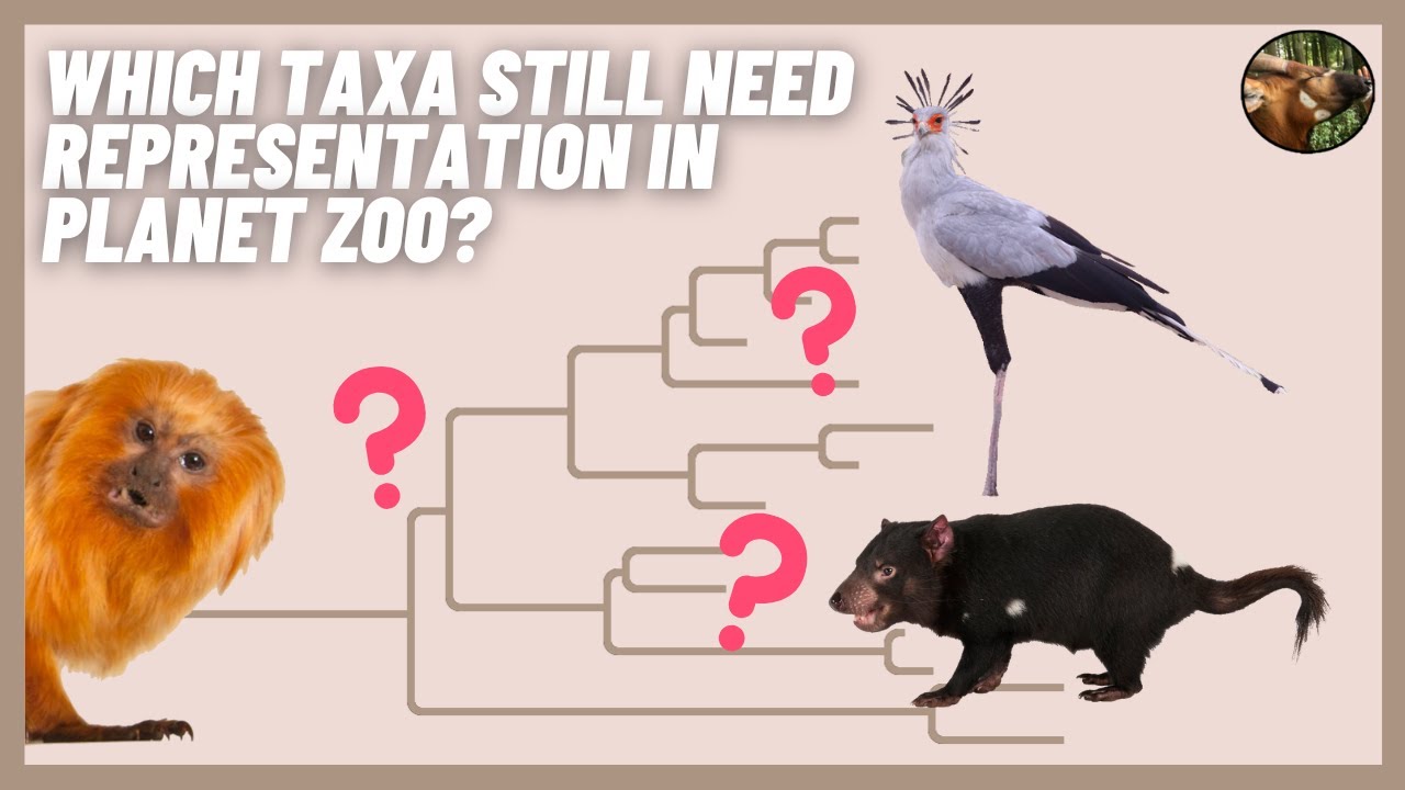 The Future of Planet Zoo | Which Taxa Still Need Representation?