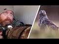 BIRD PHOTOGRAPHY || photographing birds of prey in backlight - tips and tricks