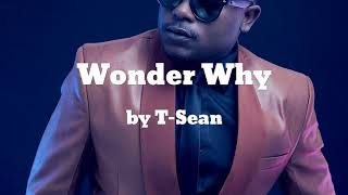 Wonder Why ft B1 - T-Sean