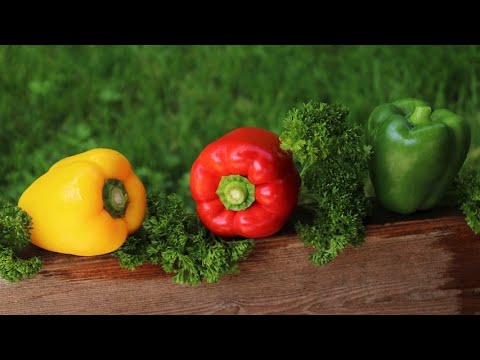 comme-on-fait-son-jardin---le-potager-de-a-à-z-:-espace-requis