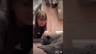 Як маленька руська дівчинка готувалася до лизання свого котика без яйчика - Periscope
