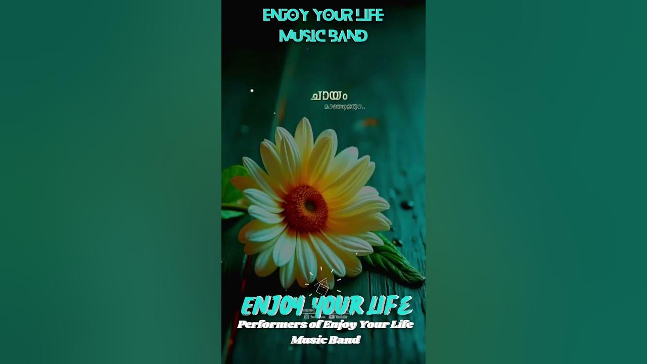 Enjoy Your Life Music Band Enjoy Your Life Music Band