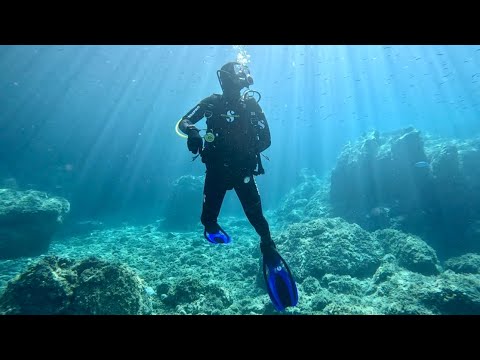 Diving in Croatia - Golac & Brscak Islets