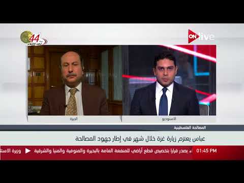 جهود الدولة المصرية في إتمام المصالحة الفلسطينية - محمد عبدالحافظ