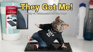 Caught Slippin’ – Ricky the Rat Tests Catchmaster Rat Glue Traps (You Won’t Believe This!)