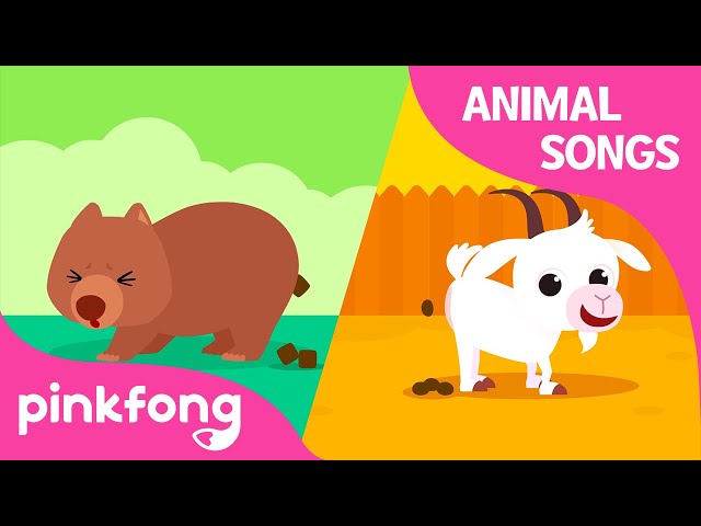 Peek-A-Poo, Peek-A-Boo! | Animal Songs | Learn Animals | Pinkfong Animal Songs for Children class=