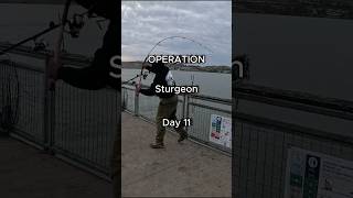 Mission to Catch a DINOSAUR Fish (Day 11)